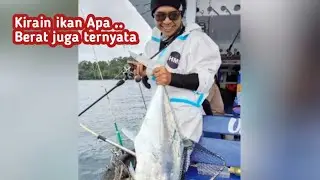 Strike Ikan kuwe Rambe babon pake bc | KM Citra Lestari | Mancing di Panaitan 