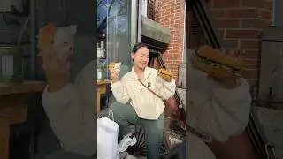 Delicious sandwiches from Brancaccio&rsquo;s Food Shop in Brooklyn, NY 🤤