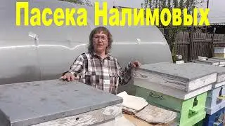 Холстик или плёнка.  Что лучше для пчёл?