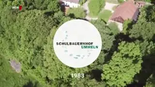 WDR 