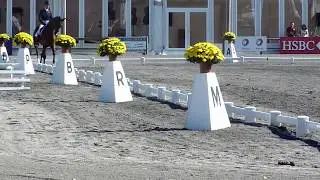 Les &eacute;toiles de Pau dressage cci ****