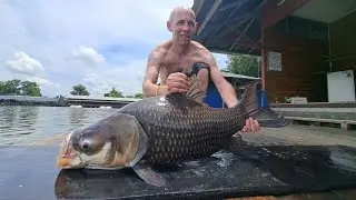 Big Siamese Carp ! Big Mekong Catfish  Fishing Thailand 2024- BKKGUY