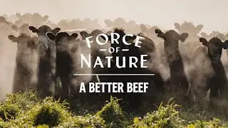 Introducing: A Better Beef