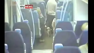 Runaway Dog Takes Train To London