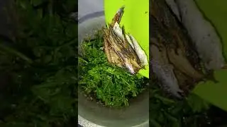 Tumis pakis +ikan rebus mantul banget bikin nambah&sup2; nasi apalagi nasi hangat😋😋😋#vidiomasak  #short