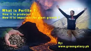 Perlite Explained: Manufacturing Process & Everyday Uses