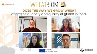 WHEATBIOME workshop | Does the way we grow wheat affect the quantity and quality of gluten in food?