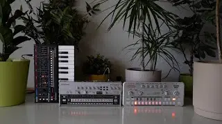 Snot Monkey - Acid 091 (Roland TR-06, JU-06A, Cyclone Analogic TT-303)