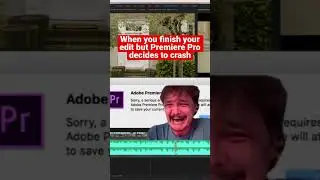 Premiere Pro Crash #adobe #editor