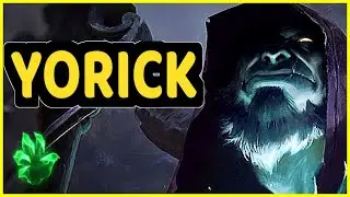 YORICK TOP CLIPS