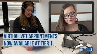 Schedule a Virtual Veterinary Appointment at Tier 1 VMC