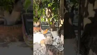 Review: My Green House hostel in Santa Cruz de la Sierra, Bolivia