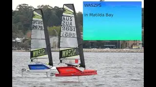Waszps in Matilda Bay