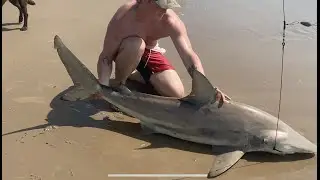 Shark Fishing Boca Chica Beach