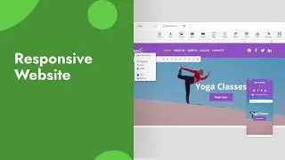 2.2 Responsive Website