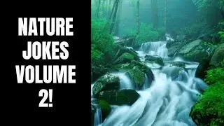 NATURE JOKES VOLUME 2! 🌲 🪵 🏔 🌧 ⛺️ 🤣 #shorts