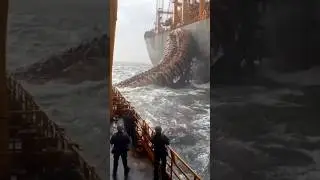 В глубинах океана обнаружены страшные существа! 😱🌊 #факты #таинственные #животные