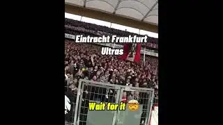 #shorts Eintracht Frankfurt Ultras are 🤯😱Soccer Fans #soccerfans