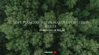 🌲🎹 Soft Piano Music in Nature for Stress Relief | 15 minutes