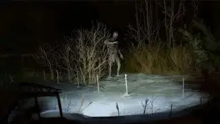 7 Rencontres De Camping Les Plus Troublantes Capturées En Direct