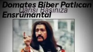 Barış MANÇO - Domates Biber Patlıcan - Ensrümantal