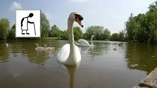 Trying my EvoDX Ultra HD 4K Sports and Action Camera at 4K 25fps (edited to 1080P)