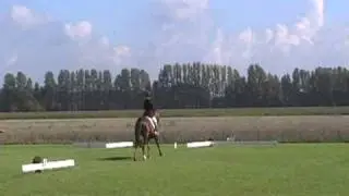 Adansa GK outdoor 2010