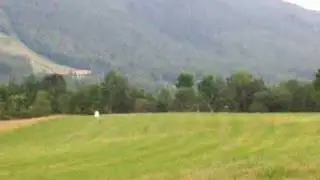 Blue - Retriever Field Trial Training Demo