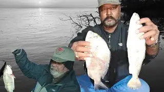 Ryrei Goth To Mal Karachi Mangrove Fishing 🎣 ,#fishing #fish #mangrove #bottomfishing  