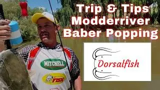 Trip & Tips Popping on Modderriver (prop vir baber /catfish / barbel/ Maximus/ toffie/ toffee)