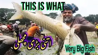 Brb Fish pakistan|fish hunting|Fishing hunting video|sole machly shekar|2022 fish hunting|