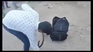 Snake bites Youth performing stunts #snake #bite #jhagda #lafda
