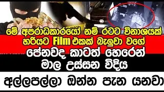 මේ අපරාධකාරයෝ නම් රටට විනාශයක් | Sl point hub | #slpointhub #srilanka #news