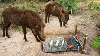Amazing Quick Wild Pig Trap Technology- Brave Boy Found Trail Wild Pig To Make Trap In Forest