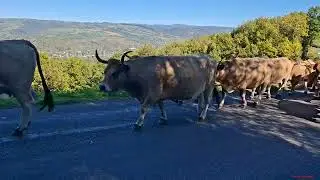 balade en aveyron 
