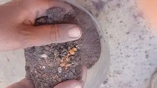 Asmr of breaking or crushing sand// Sand crunch 😧/ asmr of soft dusty