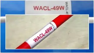 WACL 49W VS LSL 77