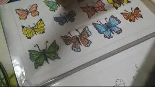 Toddler's learning folder...developing matching skills..