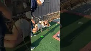 When you&rsquo;re built different #couple #funny #trend #golf #shorts