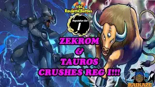 Zekrom is ACTUALLY GOOD in Reg I!? VGC Roulette Ep. 14