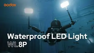 Godox: Shooting Underwater! Introducing Waterproof LED Light #WL8P