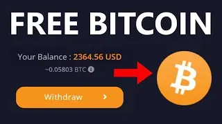 Multiply Your Bitcoins Daily (Cryptowin.io Strategy)