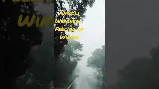 #amboli #weather #beauty #sindhudurg #fog  #rain #stressrelief #moments #naturelove