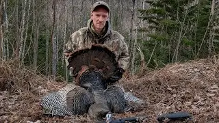 #2 Turkey hunt in mountains of Canada