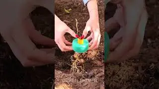 Make Planting FUN With These Epic Garden Hacks!