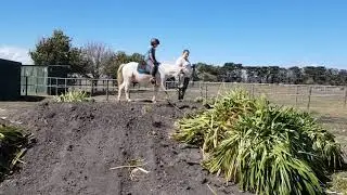 MFC Equine Junior Day