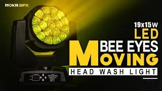 WASH LIGHT | 19*15W RGBW LED Bee Eyes Moving Head Light