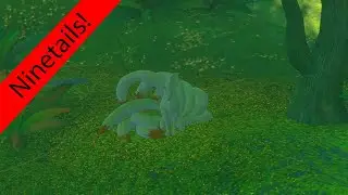 Illumina Spot - Elsewhere Forest : All 9 pokemon!