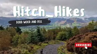 Dodd Woods to Dodd Fel: An Enchanting Stroll | Lake District Nature Hike