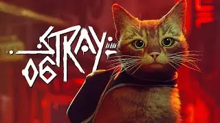 Stray PL #6 - Miasto niczym Night City - 4K Gameplay PL
